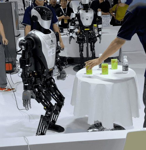 探索智能機(jī)器人的未來 世界機(jī)器人大會(huì)27款人形機(jī)器人驚艷亮相